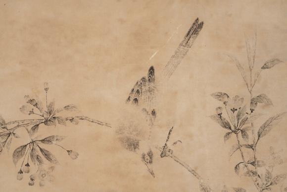 Horizontal Enchère Song-Yuan Ink Scroll of Birds & Blossoms