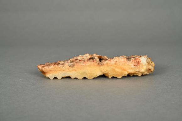 三杉美術(shù)隨形洞石山形筆擱