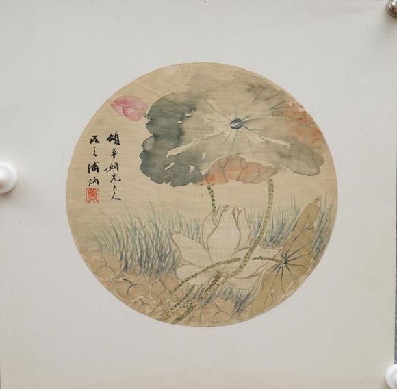 揚(yáng)州正德浦炳 花卉