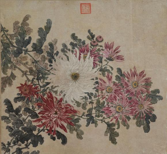 揚州正德佚名 菊花