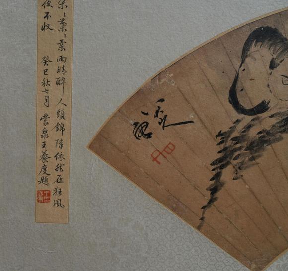 揚州正德八大 貓