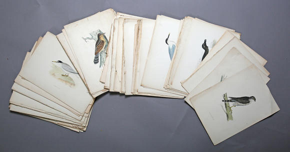 TooveysA quantity of assorted mostly 18th and 19th century prints and engravings, including portraits, ornithological studies and landscapes, together with a