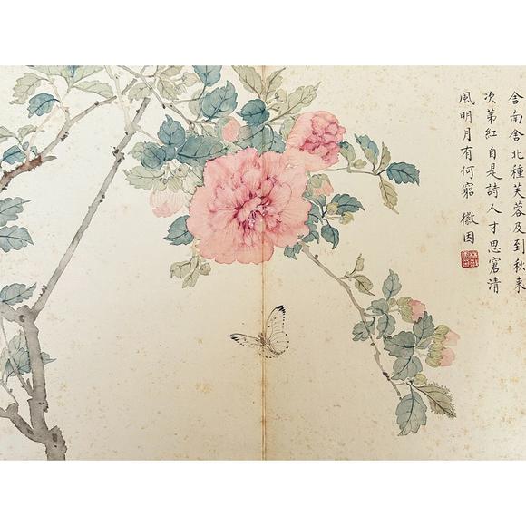 鐮倉美術(shù)林徽因 花卉冊頁八開
