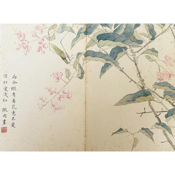 鐮倉美術(shù)林徽因 花卉冊頁八開