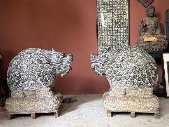 東京蕓術(shù)金錢龜