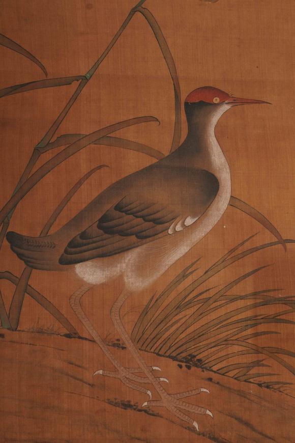 You Need林椿 花鳥
