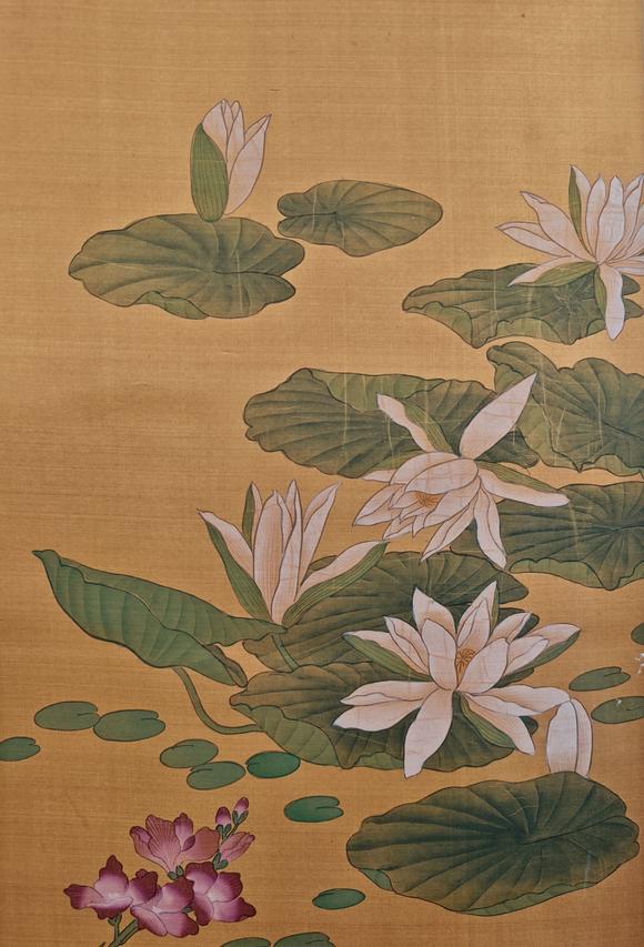 山東常藏荷花蜻蜓
