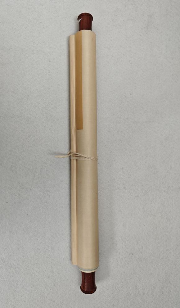 山東常藏荷花蜻蜓
