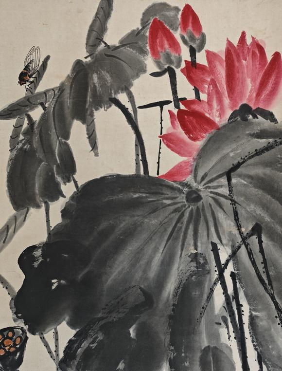 山東常藏荷花