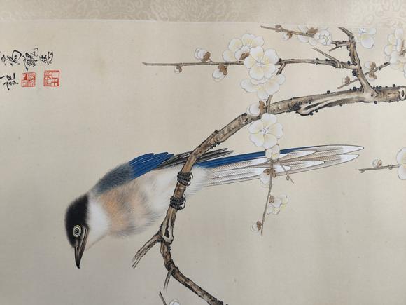 山東常藏花鳥(niǎo)