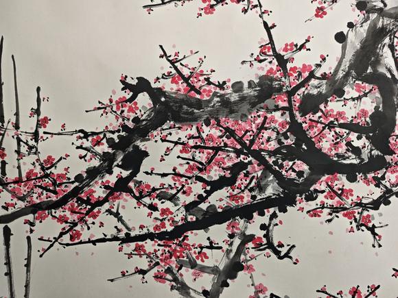 山東常藏紅梅