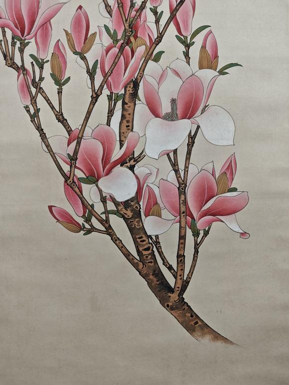 山東常藏花蝶