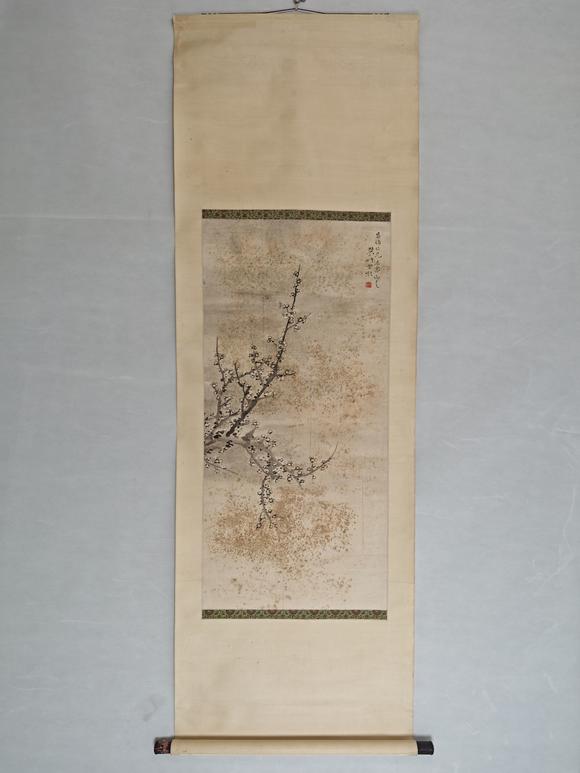 山東常藏白梅