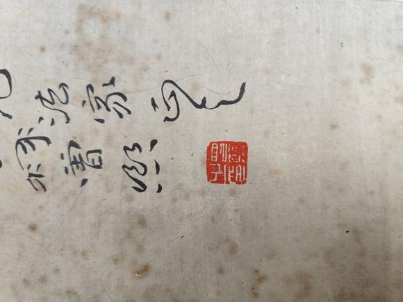 山東常藏白梅