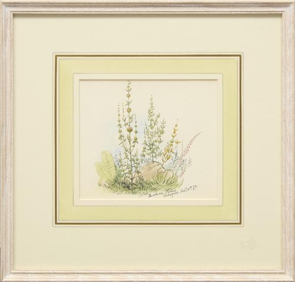 RoseberysDrawings and watercolors from the private sketching diary of Major-General Frederick Stafford Hewett (1826-1880), comprising an album with 159 drawing