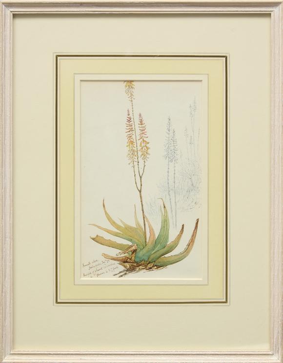 RoseberysDrawings and watercolors from the private sketching diary of Major-General Frederick Stafford Hewett (1826-1880), comprising an album with 159 drawing