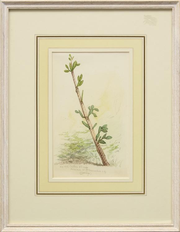 RoseberysDrawings and watercolors from the private sketching diary of Major-General Frederick Stafford Hewett (1826-1880), comprising an album with 159 drawing