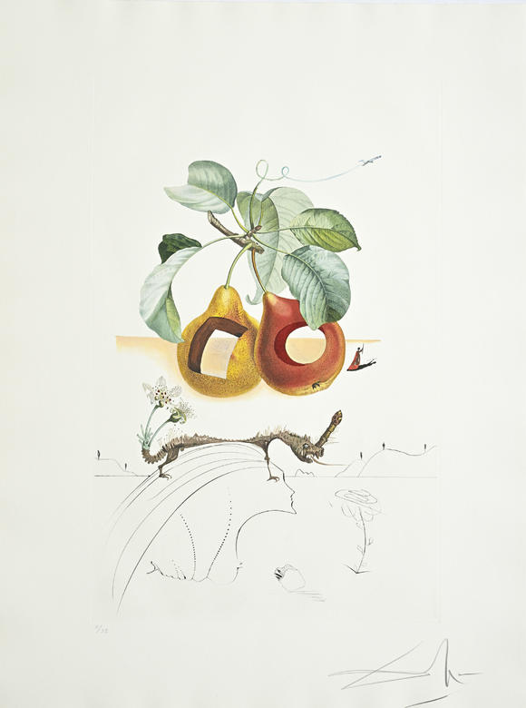 Piguet - H?tel des VentesSalvador Dali (1904-1989),  FlorDali - Les Fruits , 1969, 10 pointes-sèches et lithographies en couleurs, signées et numérotées 7/35
