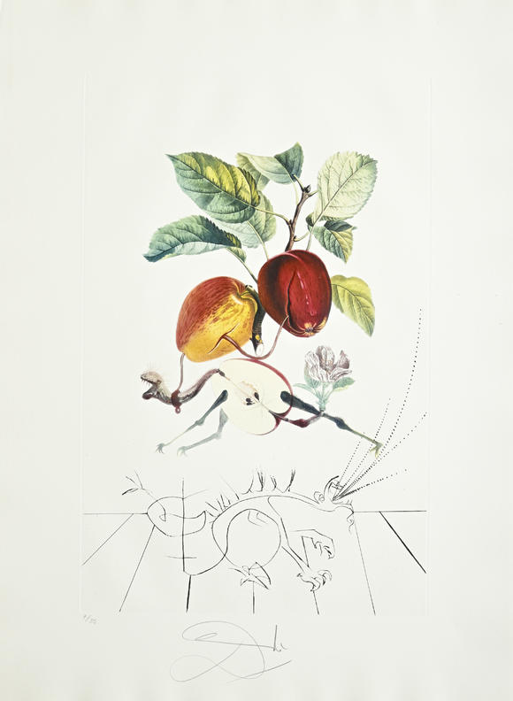 Piguet - H?tel des VentesSalvador Dali (1904-1989),  FlorDali - Les Fruits , 1969, 10 pointes-sèches et lithographies en couleurs, signées et numérotées 7/35