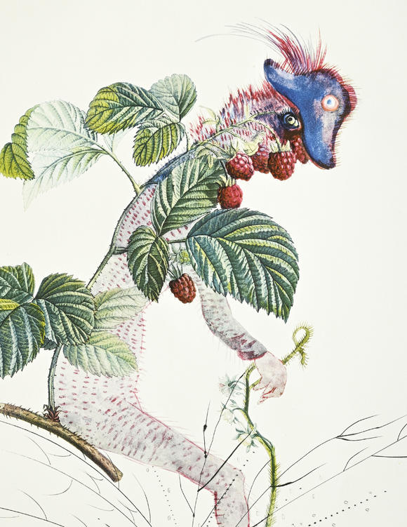 Piguet - H?tel des VentesSalvador Dali (1904-1989),  FlorDali - Les Fruits , 1969, 10 pointes-sèches et lithographies en couleurs, signées et numérotées 7/35