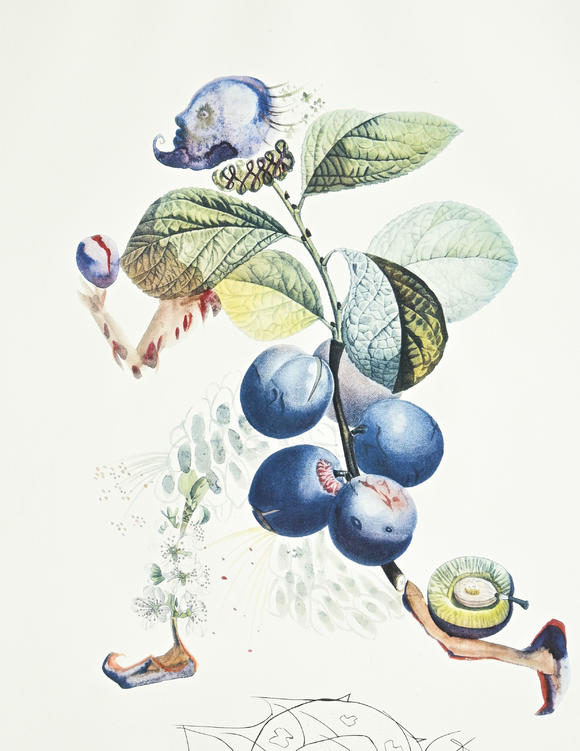 Piguet - H?tel des VentesSalvador Dali (1904-1989),  FlorDali - Les Fruits , 1969, 10 pointes-sèches et lithographies en couleurs, signées et numérotées 7/35