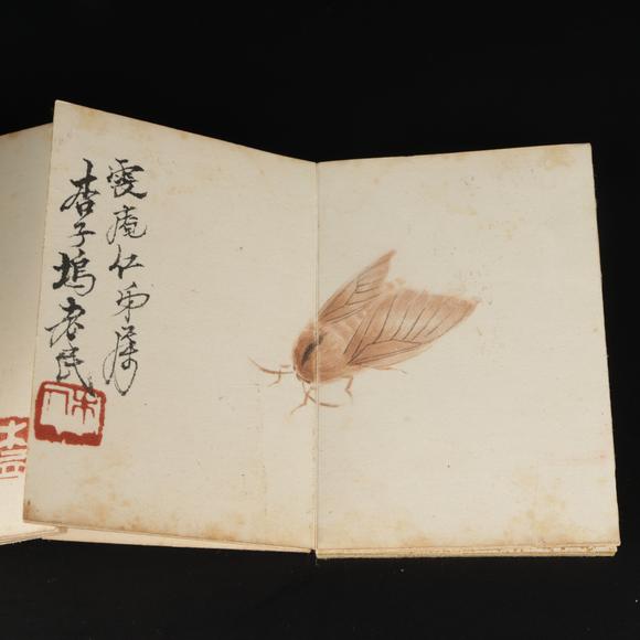 朱雀美術(shù)拍賣齊白石 草蟲冊頁
