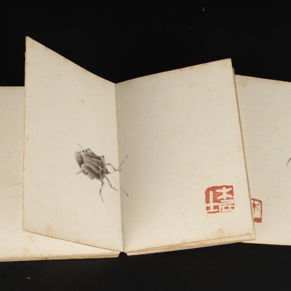 朱雀美術(shù)拍賣齊白石 草蟲冊頁