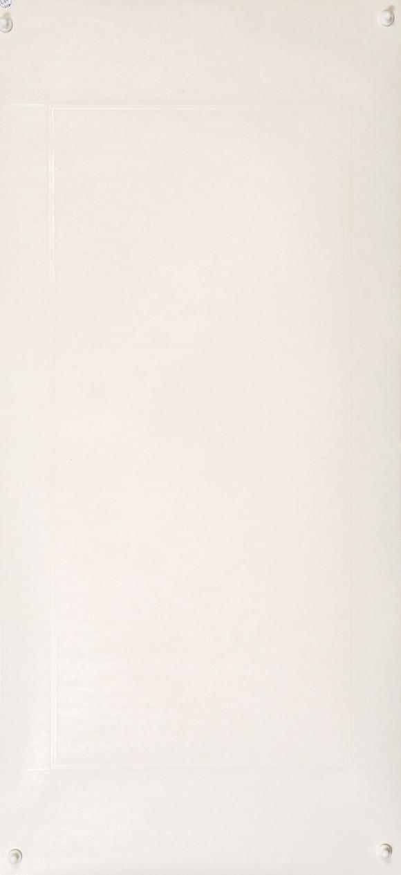 中鴻信謝稚柳（1910-1997）?梨花綬帶