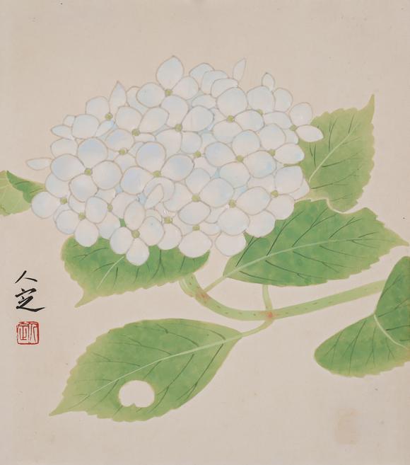 安徽東藝花卉