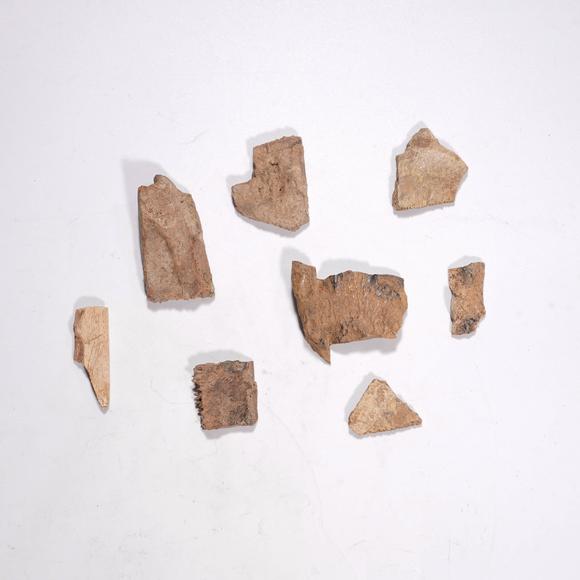 東京銀座（古美術(shù)宋磁）商 甲骨文一組八片