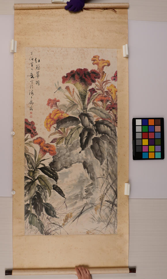 華岳國際黃幻吾  紅冠翠羽
