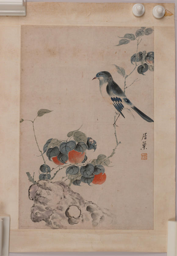 華岳國際居巢  花鳥