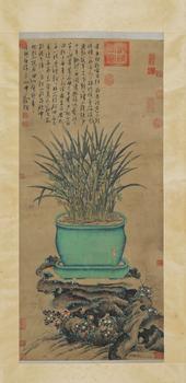 陳淳 磐石蘭草圖