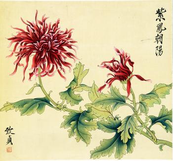紫鳳朝陽(yáng)
