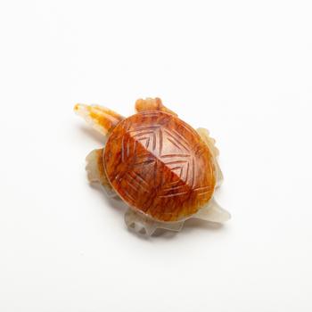 帶皮玉龜