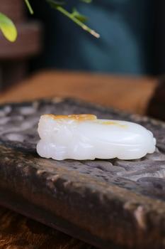 富貴龍龜