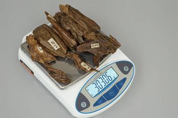沉水奇楠沉香 12點