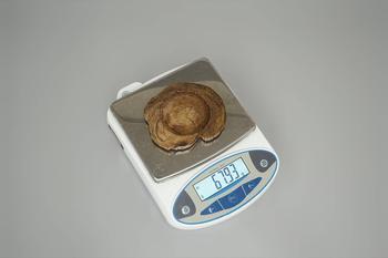 沉香茶托