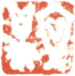 文鼎