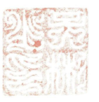 吳彬