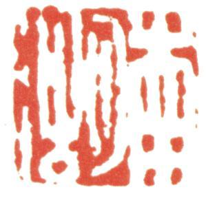 楊伯潤(rùn)