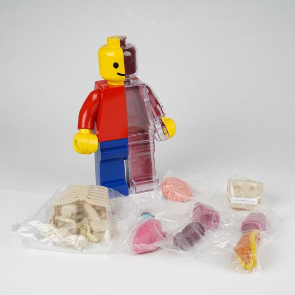 华艺国际jason freeny 乐高半解剖积木人