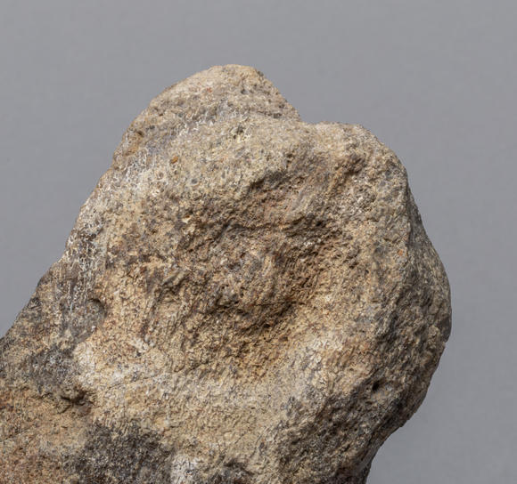 collectiblefossilizedwoolymammothtoothsculpture